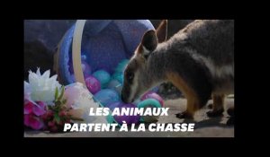 Quand les animaux s'invitent à Pâques à travers le monde