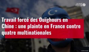 VIDÉO. Travail forcé des Ouïghours en Chine : une plainte en France contre quatre multinationales