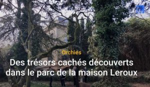 Orchies : le parc de la Maison Leroux retrouve son lustre d’antan