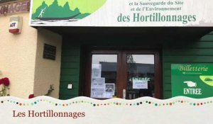 Un été en Picardie : visite des hortillonnages d'Amiens