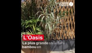 À Angers, Terra Botanica accueille la plus grande structure en bambou d'Europe