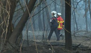 Feu de forêt maîtrisé à Anglet: 165 hectares détruits, des maisons endommagées