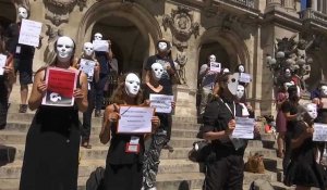 Les guides touristiques manifestent leur colère à Paris