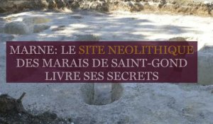 Archéologie: le Marais de Saint-Gond livre ses secrets