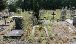 Le cimetière de Marchienne-au-Pont est envahi d'herbes