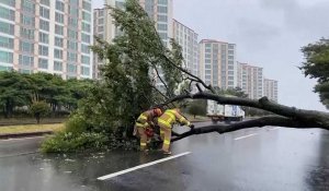 Le typhon Bavi provoque des dégâts dans la péninsule coréenne