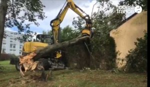 A Rennes, les services d’élagage s’occupent des dégâts causés par la tempête Alex