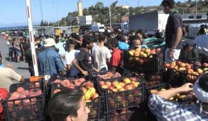 Grèce: distribution d'eau et de nourriture pour les migrants après l'incendie à Moria