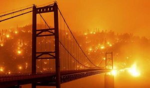Incendies : toute la côte ouest des Etats-Unis en proie aux flammes