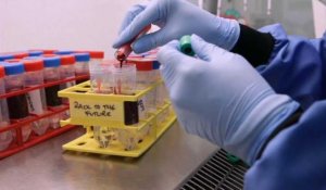 Coronavirus : la barre des 10 000 nouveaux cas en 24h franchie en France