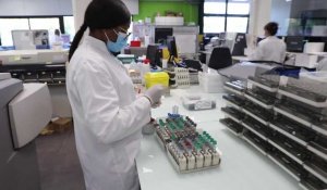 Le laboratoire Biocentre gère de plus en plus de demandes de tests PCR 