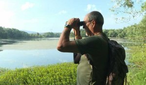 Dans la Drôme, la réserve du Grand Barry pionnière du "ré-ensauvagement"