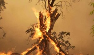 Californie: "tout était englouti par les flammes, c’était terrifiant"