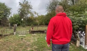 Aperçu de l'élevage de Bergers Malinois à Fontaine-l'Évêque