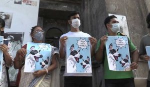Manifestation au Bangladesh après le déplacement de chiens errants