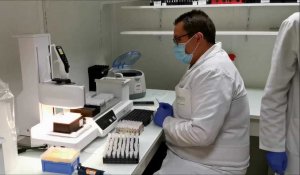 L'analyse PCR d'un test Covid-19