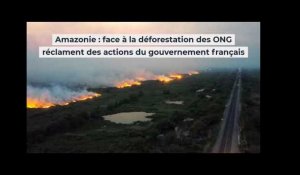 Incendies en Amazonie : face à la déforestation des ONG réclament des actions du gouvernement