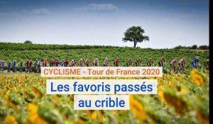 Cyclisme, Tour de France 2020 : les favoris passés au crible
