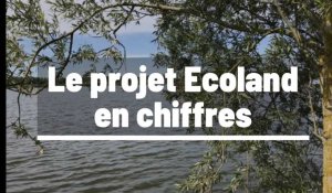 Découvrez le projet Ecoland à Palluel en chiffres