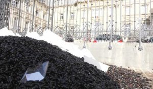 Deux tonnes de moules invendues déversées devant la préfecture