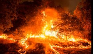 Dans l'enfer des flammes du Bobcat fire en Californie