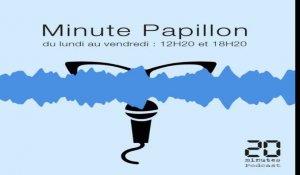 Minute Papillon! Info midi - 17 septembre 2019