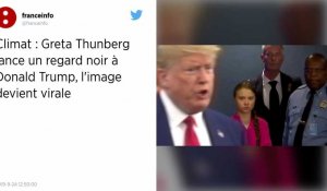 Climat : Donald Trump se moque de Greta Thunberg sur Twitter