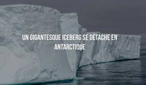 Un iceberg de 15 fois la taille de Paris se détache en Antarctique