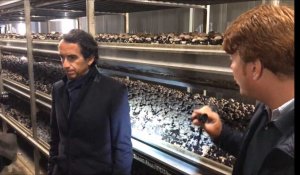 Visite d'Alexandre Bompard, PDG de Carrefour, à la ferme de la Gontière à Comines