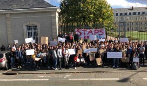 Le Mans. Les étudiants de Staps manifestent devant l'inspection académique