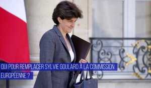 Qui pour remplacer Sylvie Goulard à la commission européenne ?