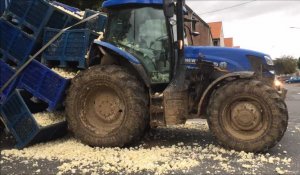 Un tracteur perd son chargement de choux-fleurs à la sortie de Longuenesse