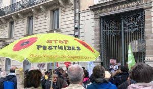 Arrêté anti-pesticides. 250 militants autour du maire de Langouët
