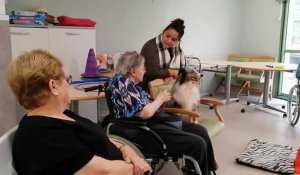 Atelier de médiation canine à l'Ehpad AGIR de Castres (81)