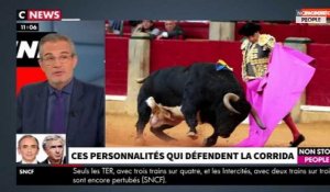Morandini Live - Laurent Weil défend la corrida : "C'est l'école de la vie" (vidéo)