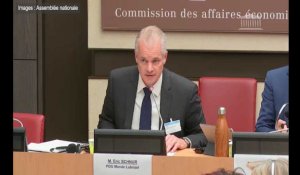 À l'assemblée nationale, le PDG de Lubrizol assure : « l'incendie s'est déclenché en dehors de nos installations »