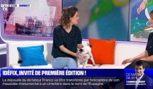 Première Edition (BFM TV) : Idéfix, invité d'Adeline François et Damien Gourlet