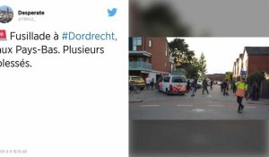 Pays-Bas : Trois morts et une personne grièvement blessée dans une fusillade à Dordrecht