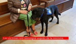 Lol chien d'accompagnement aux victimes