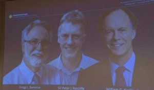 Le Nobel de médecine décerné aux Américains William Kaelin et Gregg Semenza et au Britannique Peter Ratcliffe