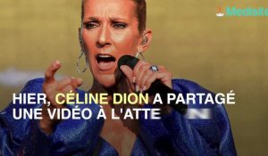 Atteinte d'un virus, Céline Dion annule deux concerts et s'excuse