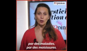 L'agriculture bio utilise-t-elle des pesticides ?