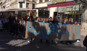 400 jeunes à la marche pour le climat à Troyes
