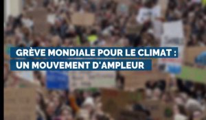 Grève mondiale pour le climat : un mouvement d'ampleur