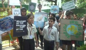 Grève pour le climat: en Inde, les enfants se mobilisent
