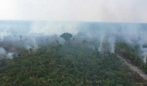Alarme mondiale sur les feux de forêt en Amazonie