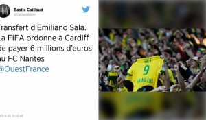 Transfert d'Emiliano Sala. La FIFA ordonne à Cardiff de payer 6 millions d'euros au FC Nantes