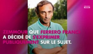 Eric Zemmour : pourquoi Nutella refuse de diffuser sa publicité avant son émission