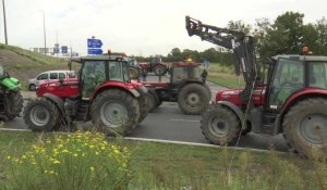 Hauts-de-France : mobilisation des agriculteurs
