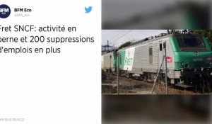 Fret SNCF : 200 nouvelles suppressions d'emplois annoncées